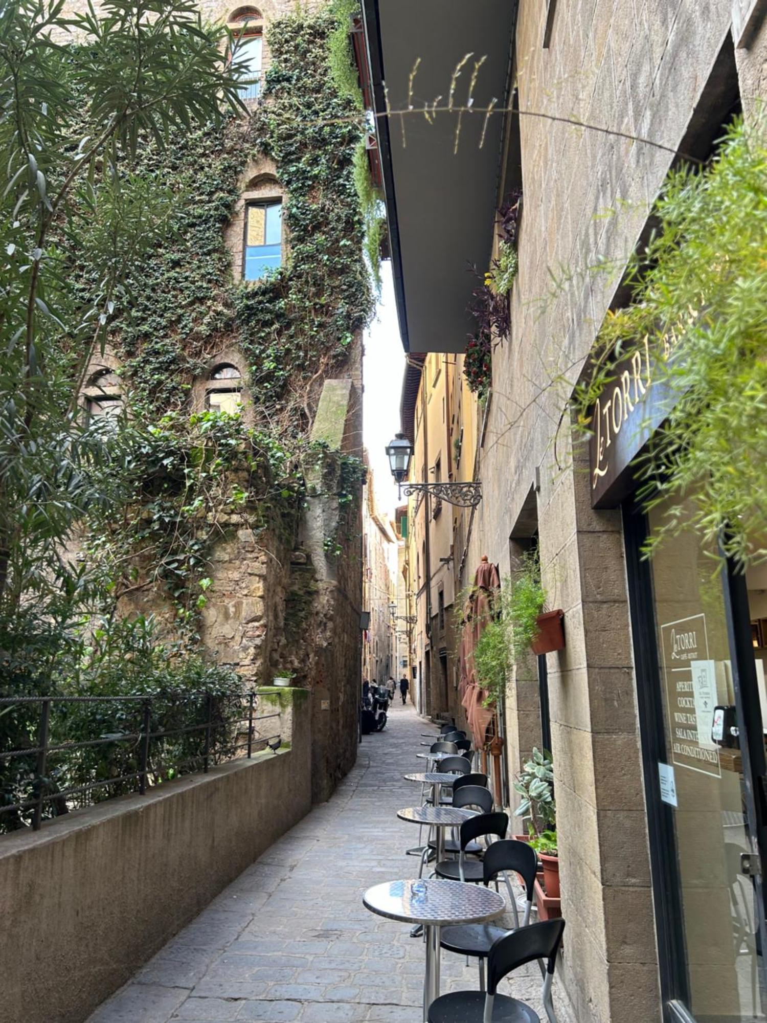 Appartamento Borgo San Jacopo 8